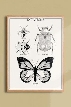 Workshop posterDAZAT Peony Must-Have