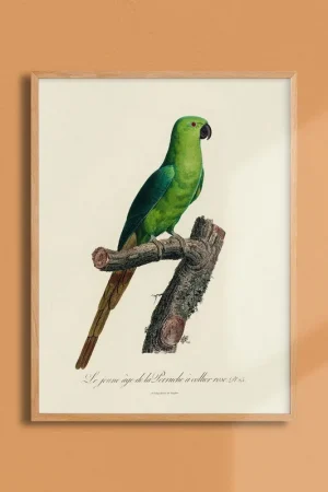 Bon Marché Poster "The Imperfects" Roland-Garros 1981 by Eduardo ARROYO