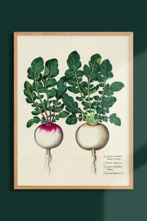 Acheter En Ligne Poster "The Imperfects" Roland-Garros 1981 by Eduardo ARROYO