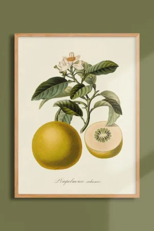 Acheter En Ligne Poster "The Imperfects" Roland-Garros 1981 by Eduardo ARROYO