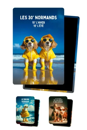 Magnets de Normandie - Lot de 3 Authentique