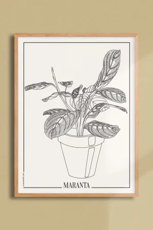 Workshop posterDAZAT Peony Bon Plan