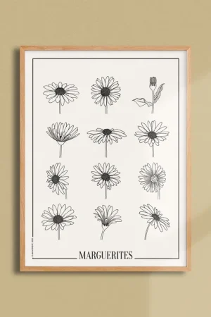 Workshop posterDAZAT Peony Quantité Limitée