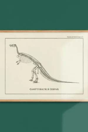 Achat Immédiat Dinosaur Poster - Stegosaurus Skeleton