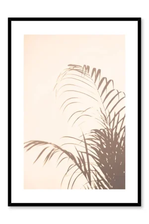 Afternoon Shade, Poster Promotion Saisonnière