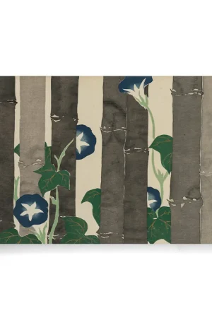 Acheter En Ligne Kamisaka Sekka - Morning Glories