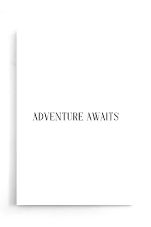 Acheter Direct Adventure Awaits