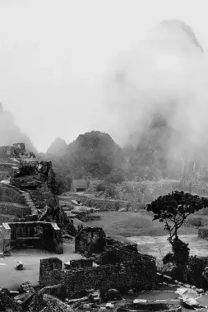 & Achetez Aujourd’hui