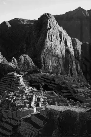 & Livraison Gratuite