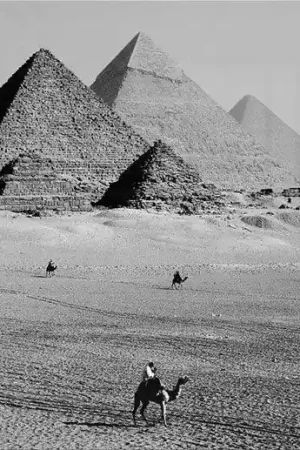 & Expédition Rapide