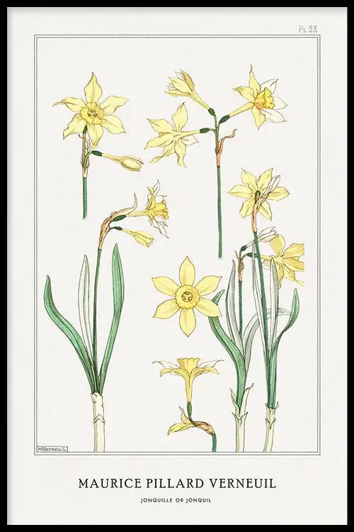 & Jusqu’à Épuisement Des Stocks