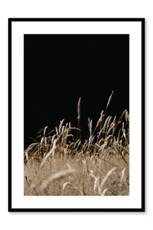 A Night in the Field, Poster Marque