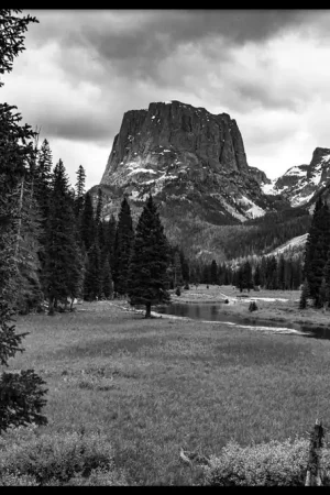 Wyoming Forest Produit De Marque