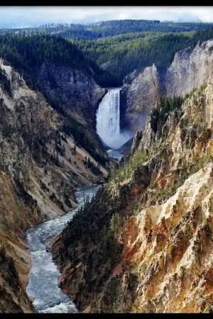 Yellowstone National Park Livraison Gratuite
