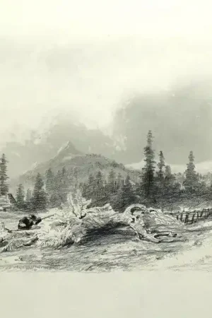 Dessin original de Jules Achille NOËL (1810-1881) Chasseur embusqué Bon Plan