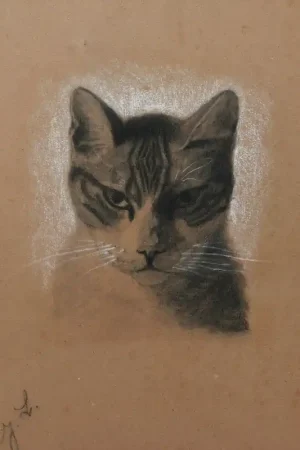 Dernière Chance Attribué à Jules LAURENS, Tête de chat