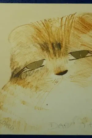 "CHATON" Lithographie par Dariush MOHAJER (Iranien) Top Vente