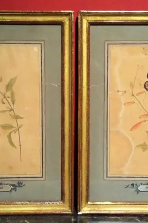 "Ancolies et Papillons" de Maria Van Os (1779-1862) Quantité Limitée